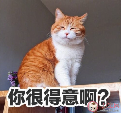 有哪些使人每天進步的好習慣 值得堅持的好習慣盤點 有哪些使人每天進步的好習慣 值得堅持的好習慣盤點