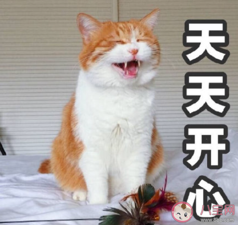 有哪些使人每天進步的好習慣 值得堅持的好習慣盤點 有哪些使人每天進步的好習慣 值得堅持的好習慣盤點