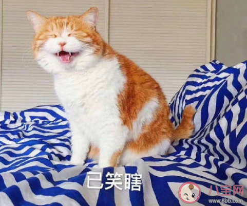 有哪些使人每天進步的好習慣 值得堅持的好習慣盤點 有哪些使人每天進步的好習慣 值得堅持的好習慣盤點