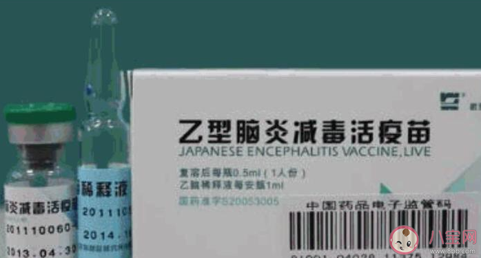 接種乙腦疫苗后不能吃什么 乙腦疫苗接種前后的注意事項有哪些