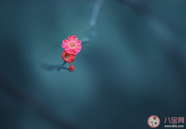 人為什么一定要善良 善良分為幾個層次