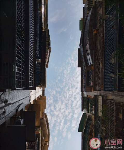 領導上班摸魚該如何應對 看到領導上班摸魚你會怎么辦