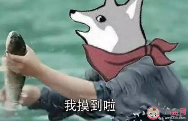 領導上班摸魚該如何應對 看到領導上班摸魚你會怎么辦