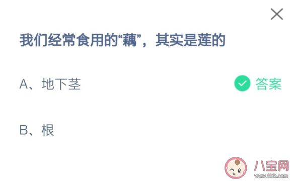 我們經常吃的藕其實是蓮的什么 螞蟻莊園7月16日答案最新：