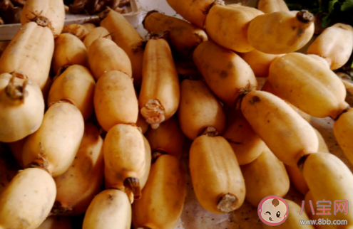 我們經常食用的藕其實是蓮的什么部位 螞蟻莊園7月16日答案 我們經常食用的藕其實是蓮的什么部位 螞蟻莊園7月16日答案