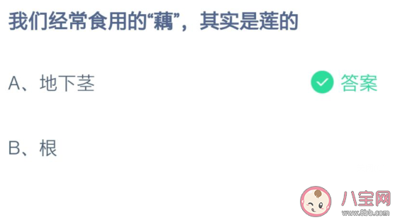 我們經常食用的藕其實是蓮的什么部位 螞蟻莊園7月16日答案 我們經常食用的藕其實是蓮的什么部位 螞蟻莊園7月16日答案