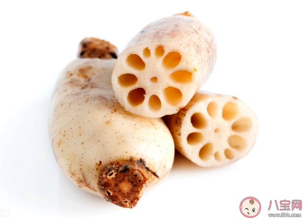 我們經常吃的藕其實是蓮的什么 螞蟻莊園7月16日答案最新：