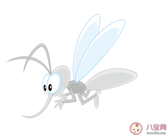 吃維生素B1可以驅(qū)蚊嗎 有哪些不靠譜的驅(qū)蚊方式