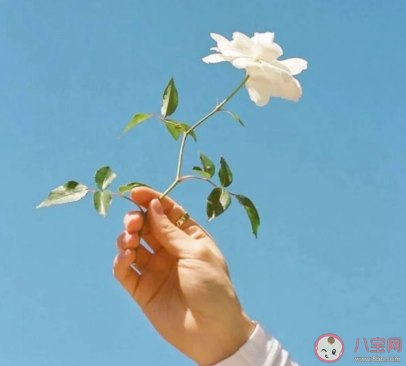 性單戀是什么原因?qū)е碌?性單戀可以治好嗎