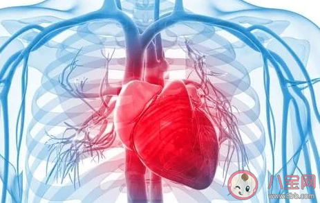 平時(shí)不吃肉就不會(huì)得心血管疾病了嗎 螞蟻莊園7月21日答案