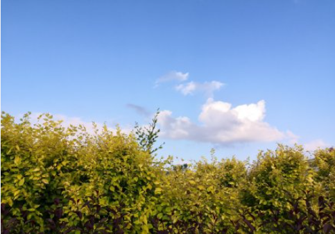 辭職后的空窗期里應(yīng)該做什么 怎么去開始下一份工作