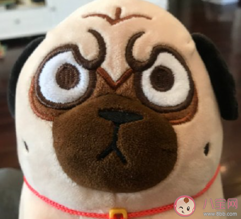 愛好該不該成為工作 如何看待把愛好當做自己的工作