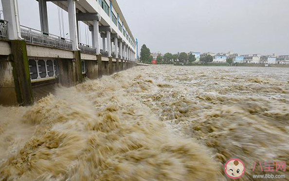 洪水接觸的一切食物都要丟棄嗎 暴雨災后生水能不能喝