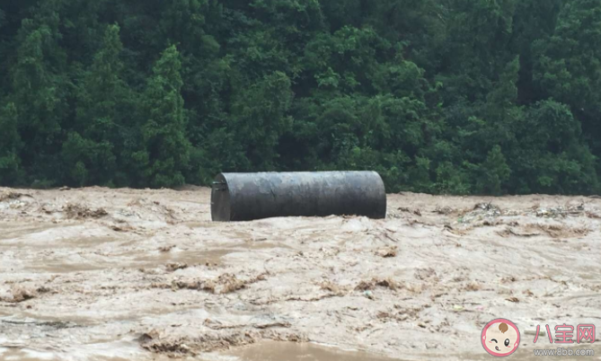 被洪水圍困如何發(fā)出求救信號 螞蟻莊園7月23日正確答案