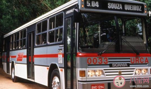 公交車涉水被困住時應如何逃生 最新螞蟻莊園7月23日答案