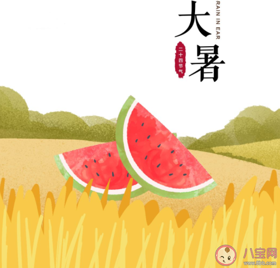 大暑節氣吃什么食物養生 大暑節氣養生禁忌 大暑節氣吃什么食物養生 大暑節氣養生禁忌