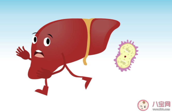 2021年世界肝炎日宣傳主題是什么 關于肝炎的相關知識科普