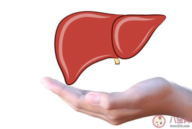 2021年世界肝炎日宣傳主題是什么 關于肝炎的相關知識科普