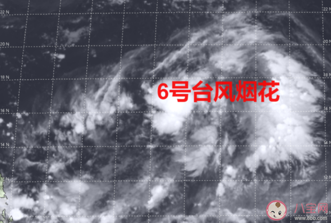 臺風煙花會被除名嗎 臺風煙花名字是怎么來的 臺風煙花會被除名嗎 臺風煙花名字是怎么來的