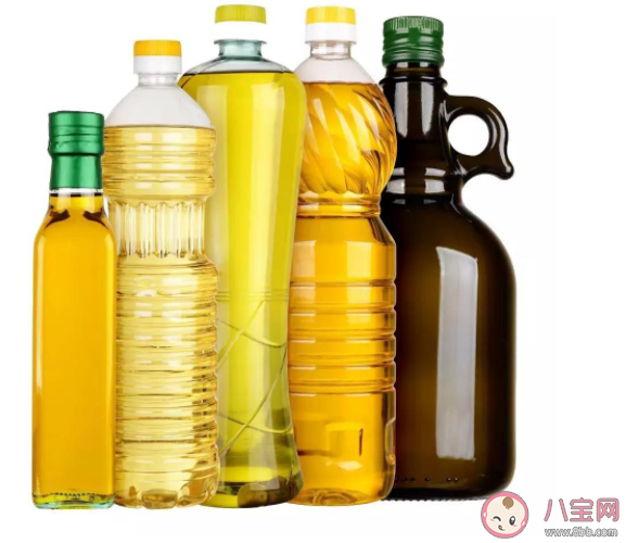 買油買大桶還是小桶好 常見(jiàn)食用油怎么選購(gòu)