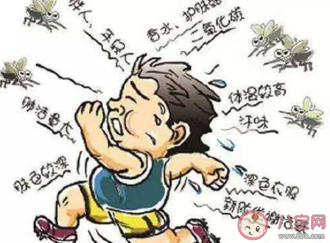 什么樣的人最容易招蚊子 如何避免被蚊子咬