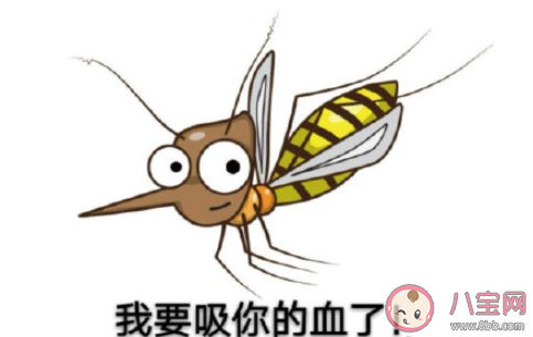 什么樣的人最容易招蚊子 如何避免被蚊子咬