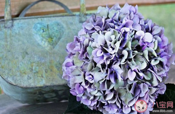 感情中沒有安全感該怎么辦 缺乏安全感如何緩解 感情中沒有安全感該怎么辦 缺乏安全感如何緩解