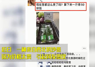 沙蔥賣50一斤仍供不應求 天價沙蔥貴在哪