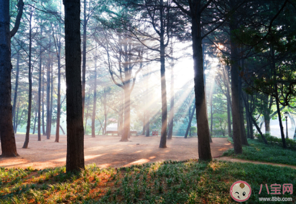 什么是丁達爾效應 丁達爾效應是怎么形成的 什么是丁達爾效應 丁達爾效應是怎么形成的