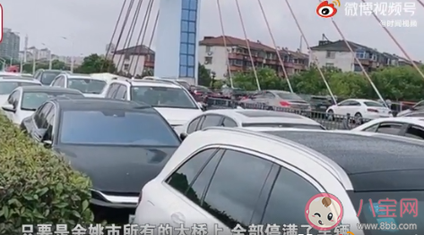 寧波市民將車停高架橋上防止被淹可行嗎 高架橋能夠承載這么多的車嗎