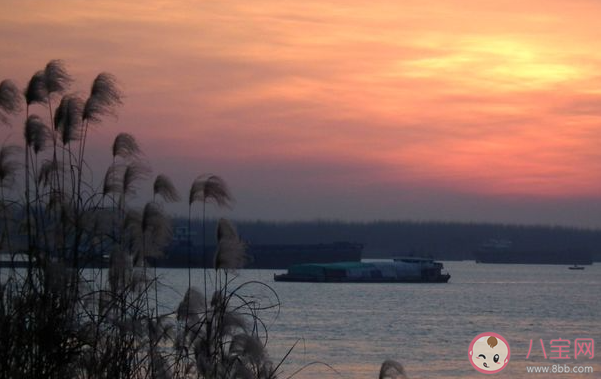 江上一曲低誦晚風唱出心傷才知情濃是什么歌 《江上晚風吟》完整版歌詞在線聽歌