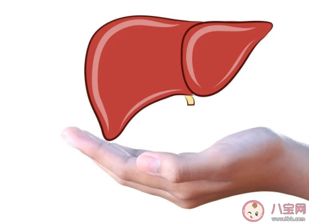 肝炎距離我們有多遠 生活中如何預防肝炎
