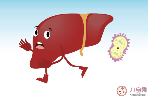 肝炎距離我們有多遠 生活中如何預防肝炎