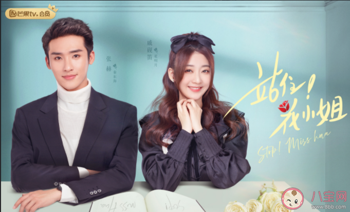 《站住花小姐》追劇日歷 《站住花小姐》更新時間表