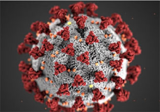 德爾塔病毒載量為去年流行病株千倍 如何應對德爾塔毒株