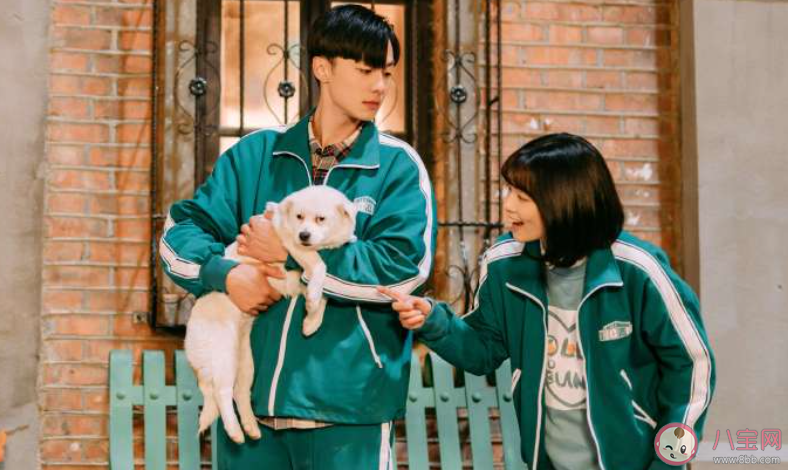 《循環初戀》原著小說是什么 《循環初戀》人物關系圖介紹