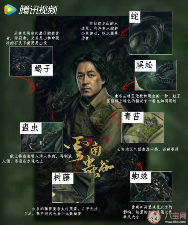 《云南蟲谷》定檔8月底播出嗎 《云南蟲谷》小說(shuō)講的是什么