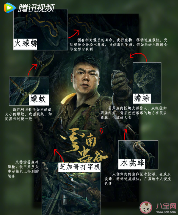 《云南蟲谷》定檔8月底播出嗎 《云南蟲谷》小說(shuō)講的是什么