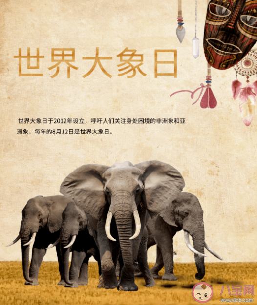 世界大象日的由來是什么 關于大象的一些冷知識