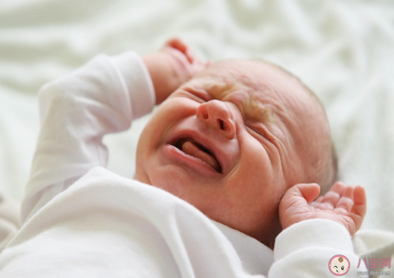 為什么嬰兒明明很困卻拼命反抗哄睡 哄寶寶入睡四步驟