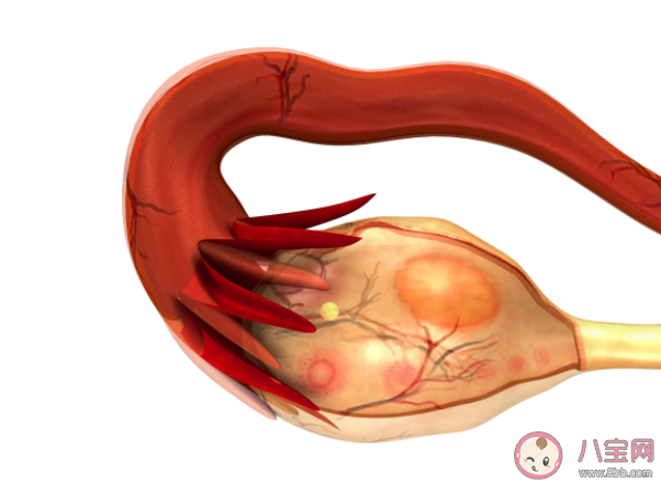 孕婦子宮肌瘤可以在剖宮產時一起拿掉嗎 孕期子宮肌瘤是保守觀察還是治療 孕婦子宮肌瘤可以在剖宮產時一起拿掉嗎 孕期子宮肌瘤是保守觀察還是治療