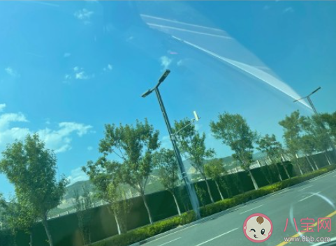 我不看月亮是什么梗 我不看月亮梗的出處是什么