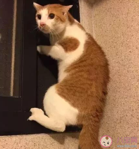 把嚇唬孩子當育兒方法能管用嗎 嚇唬孩子的教育方法好嗎