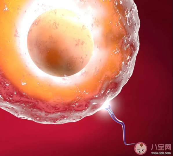 孕早期反復流產都是女方的問題嗎 反復流產后就不能懷孕了嗎 孕早期反復流產都是女方的問題嗎 反復流產后就不能懷孕了嗎