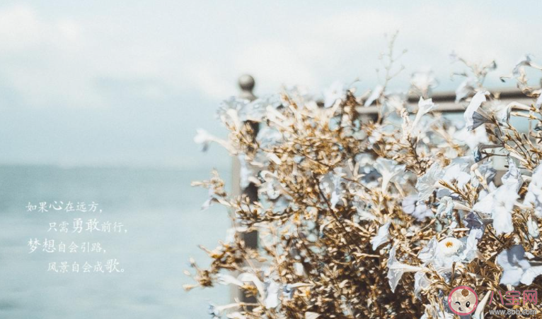 九月第一天早安心語發朋友圈說說 九月第一天早上好問候語句子大全