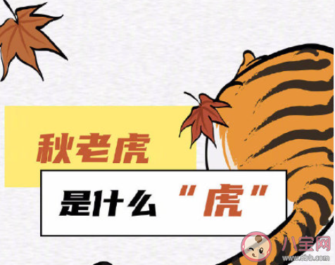 全國秋老虎地圖 秋老虎來了如何養(yǎng)生 全國秋老虎地圖 秋老虎來了如何養(yǎng)生