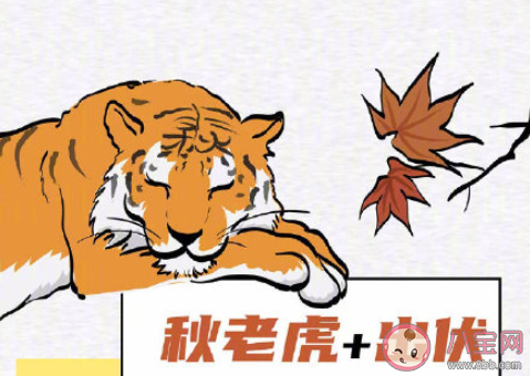 全國秋老虎地圖 秋老虎來了如何養(yǎng)生 全國秋老虎地圖 秋老虎來了如何養(yǎng)生