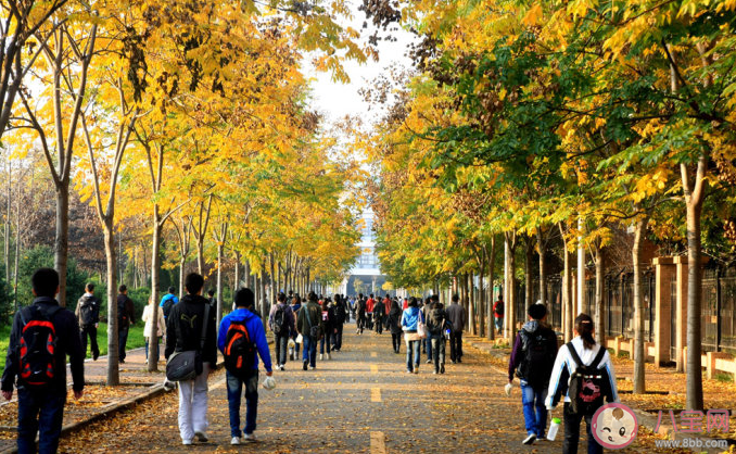 如何高質(zhì)量地走完大學(xué)四年 怎樣規(guī)劃自己的大學(xué)生活