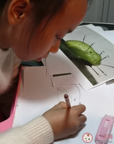 降低考試難度能否降低教育成本 為什么要降低考試難度