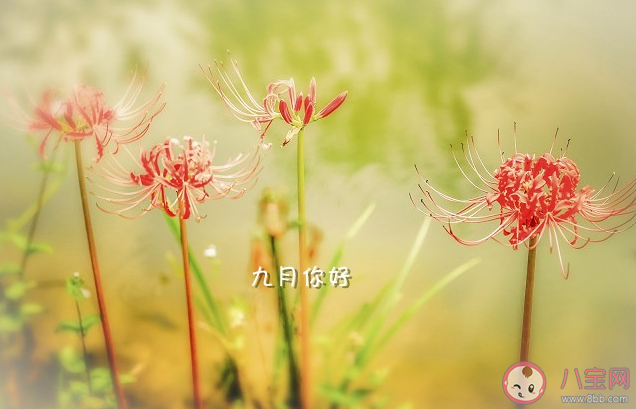 九月你好祝福語(yǔ)圖片句子2021 九月最美祝福圖片說(shuō)說(shuō)2021